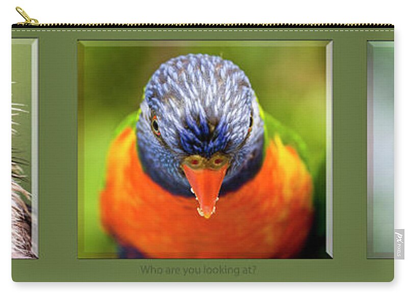 Kookaburra Zip Pouch featuring the photograph Who are you looking at? by Sheila Smart Fine Art Photography