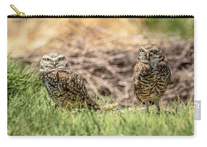 Owl Zip Pouch featuring the photograph Who x2 by Steph Gabler