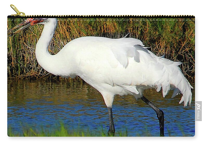 Whooping Zip Pouch featuring the photograph Whooping Crane by Ted Keller