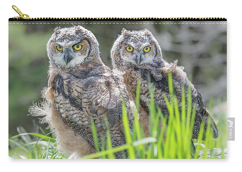 Nature Zip Pouch featuring the photograph Whoos watching me by Ian Sempowski