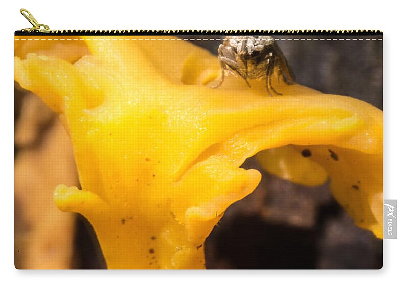 Wicked Moth On Mushroom Zip Pouch featuring the photograph Wicked Moth on Mushroom by Douglas Barnett
