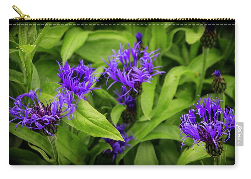 Flowers Zip Pouch featuring the photograph Wild Cornflowers in Iceland by Venetia Featherstone-Witty