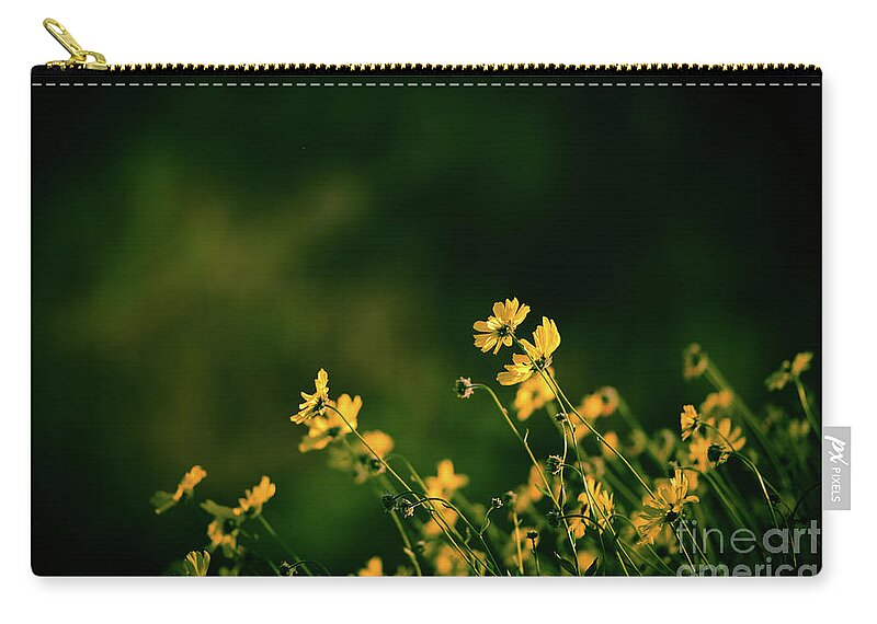 Wild Flowers Zip Pouch featuring the photograph Evening Wild Flowers by Kelly Wade