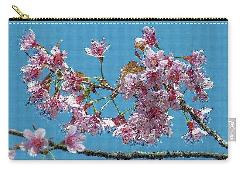Nature Carry-all Pouch featuring the photograph Wild Himalayan Cherry DTHN0220 by Gerry Gantt