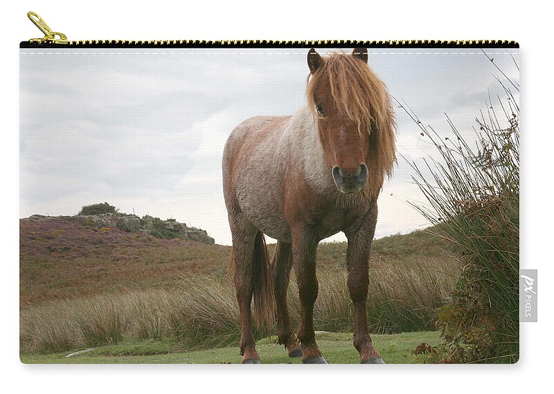 Horse Zip Pouch featuring the photograph Wild horse by Christopher Rowlands