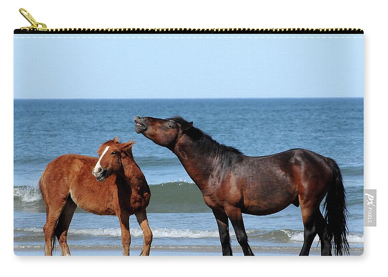 Wild Carry-all Pouch featuring the photograph Wild Horses on Beach by Ted Keller