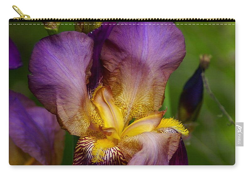 Nature Zip Pouch featuring the photograph Wild Iris by Ben Upham III