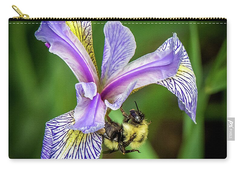 Wild Iris Zip Pouch featuring the photograph Wild Iris With Bee by Paul Freidlund