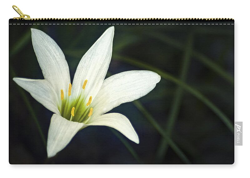 Lily Carry-all Pouch featuring the photograph Wild Lily by Carolyn Marshall