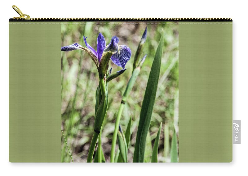 Iris Flower Zip Pouch featuring the photograph WIld Maine Iris by Daniel Hebard