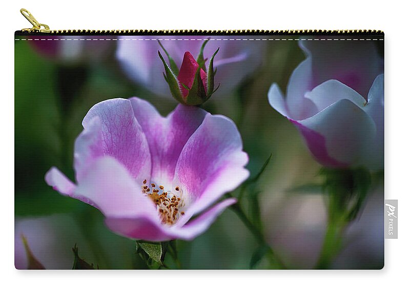  Carry-all Pouch featuring the photograph Wild Rose 7 by Dan Hefle