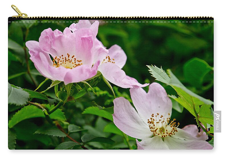 Wild Roses Zip Pouch featuring the photograph Wild Roses. Andante.. by Elena Perelman