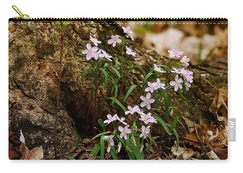 Spring Zip Pouch featuring the photograph Wild Spring Beauty by Michael Peychich