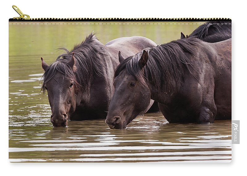 Mark Miller Photos Zip Pouch featuring the photograph Wild Stallions at the Water Hole by Mark Miller