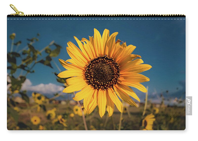 Jay Stockhaus Zip Pouch featuring the photograph Wild Sunflower by Jay Stockhaus