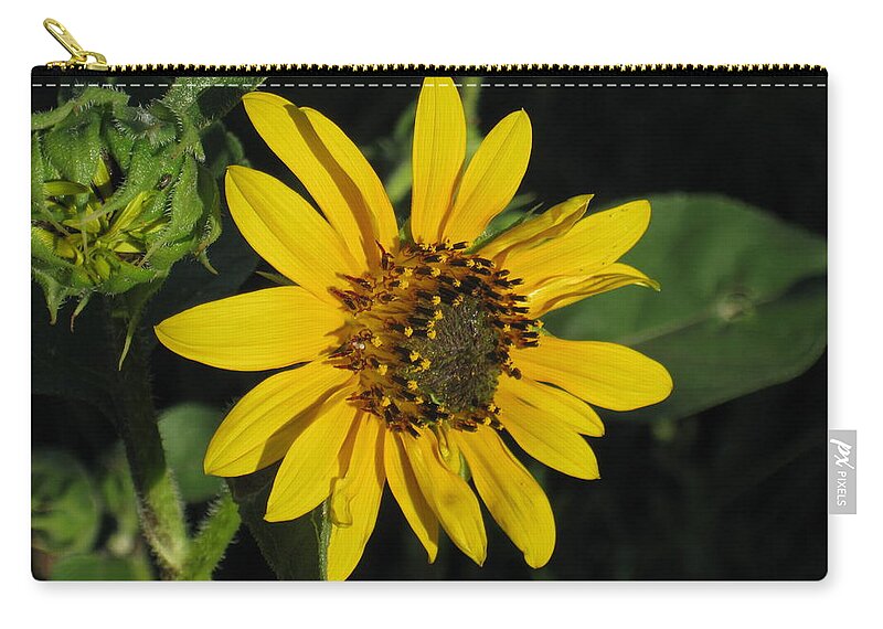  Zip Pouch featuring the photograph Wild Sunflower by Ron Monsour