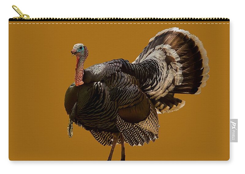Jean Noren Zip Pouch featuring the photograph Wild Turkey Confrontation by Jean Noren