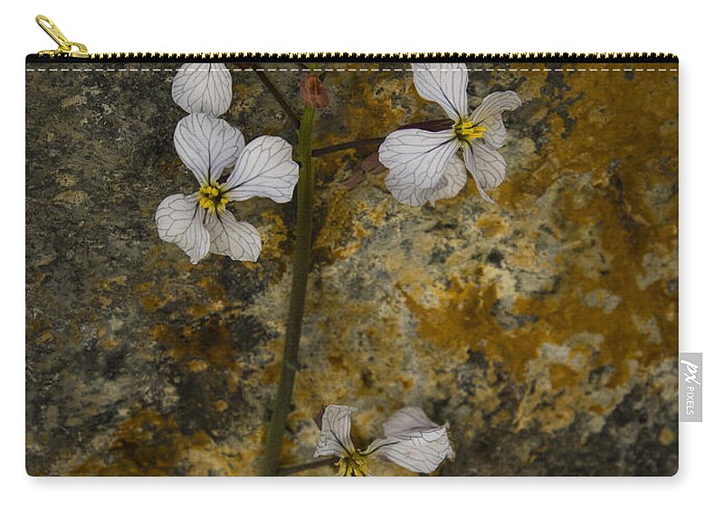 Jean Noren Zip Pouch featuring the photograph Wildflower Against Rock by Jean Noren
