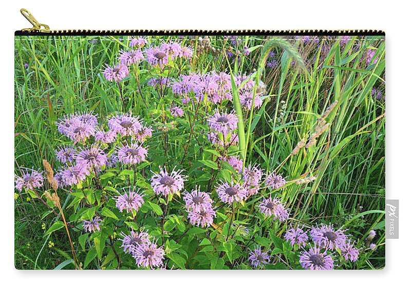 Black Eyed Susan Zip Pouch featuring the photograph Wildflower Bouquet in Glacial Park by Ray Mathis