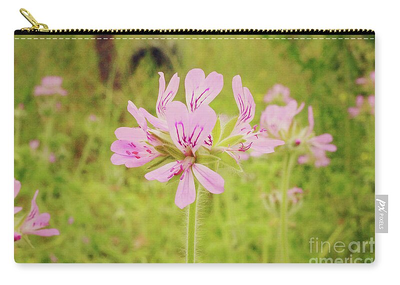 Flower Zip Pouch featuring the photograph Wildflower III by Cassandra Buckley