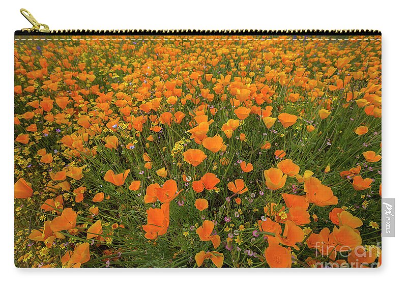 Photography Zip Pouch featuring the photograph Wildflower Superbloom 14 by Daniel Knighton