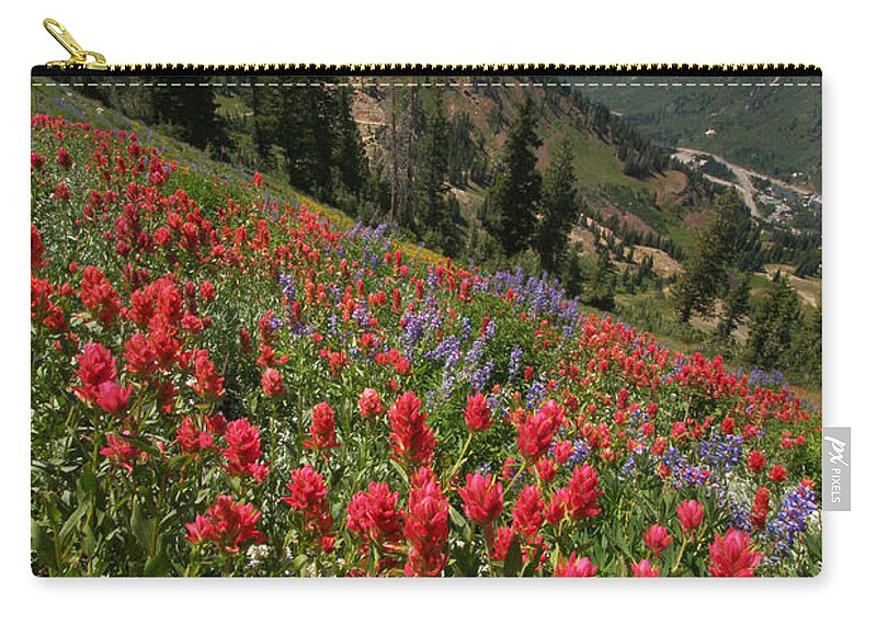 Landscape Carry-all Pouch featuring the photograph Wildflowers and View Down Canyon by Brett Pelletier