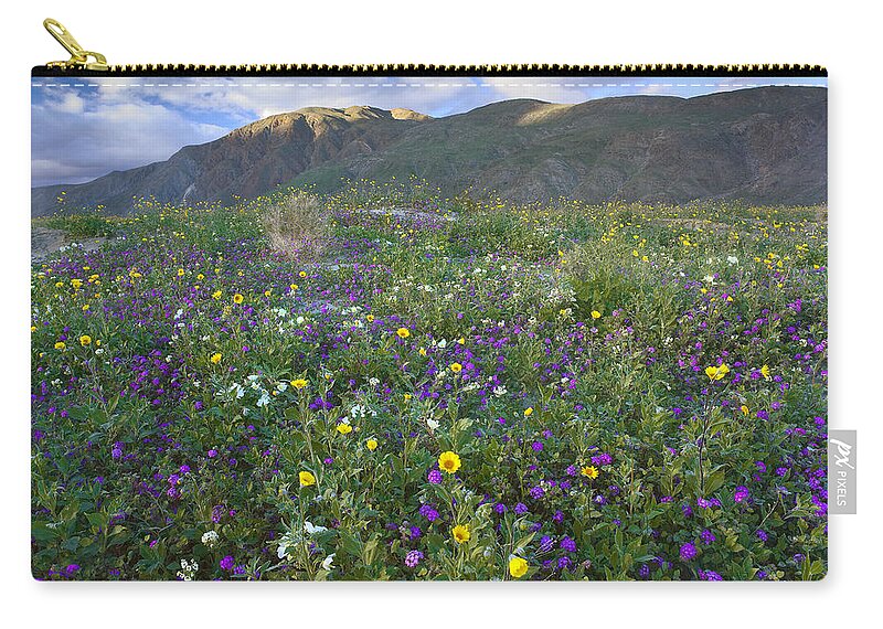 00175221 Zip Pouch featuring the photograph Wildflowers Carpeting The Ground by Tim Fitzharris