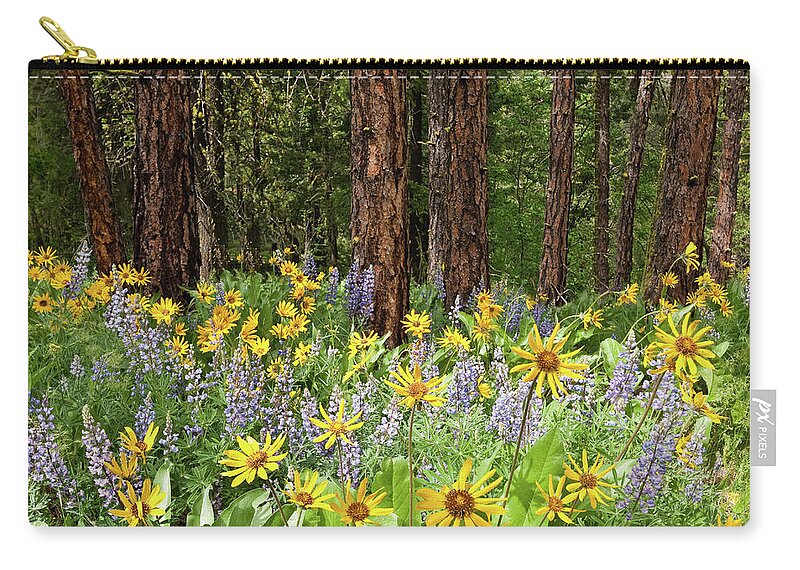 Arrowleaf Balsamroot Zip Pouch featuring the photograph Balsamroot and Lupine in a Ponderosa Pine Forest by Jeff Goulden