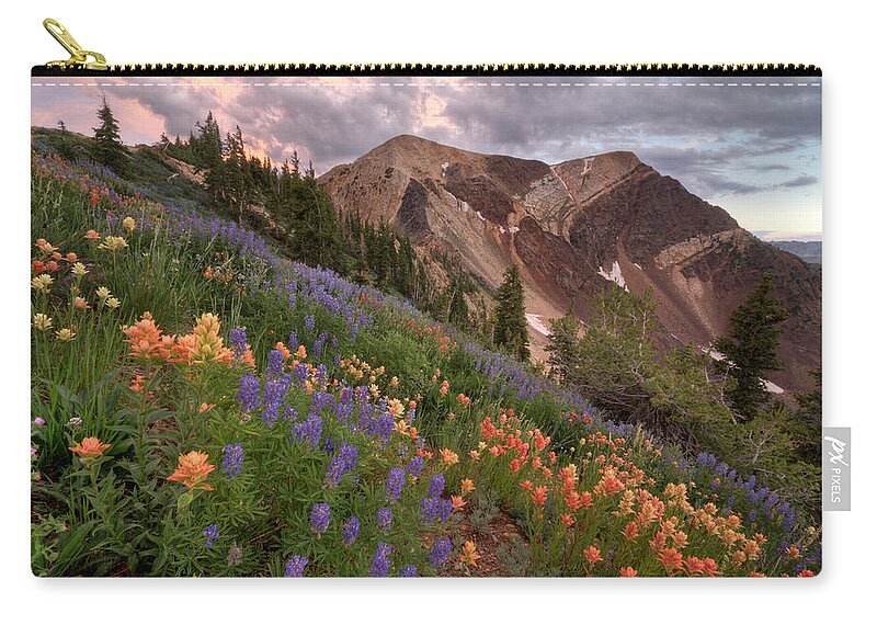 Landscape Carry-all Pouch featuring the photograph Wildflowers with Twin Peaks at Sunset by Brett Pelletier