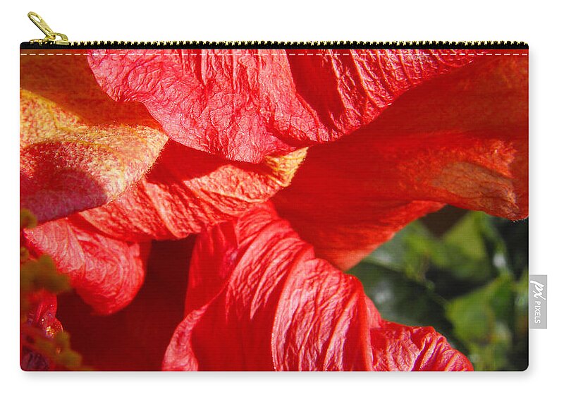 Hibiscus Zip Pouch featuring the photograph Wilting Hibiscus Two by Ruth Palmer