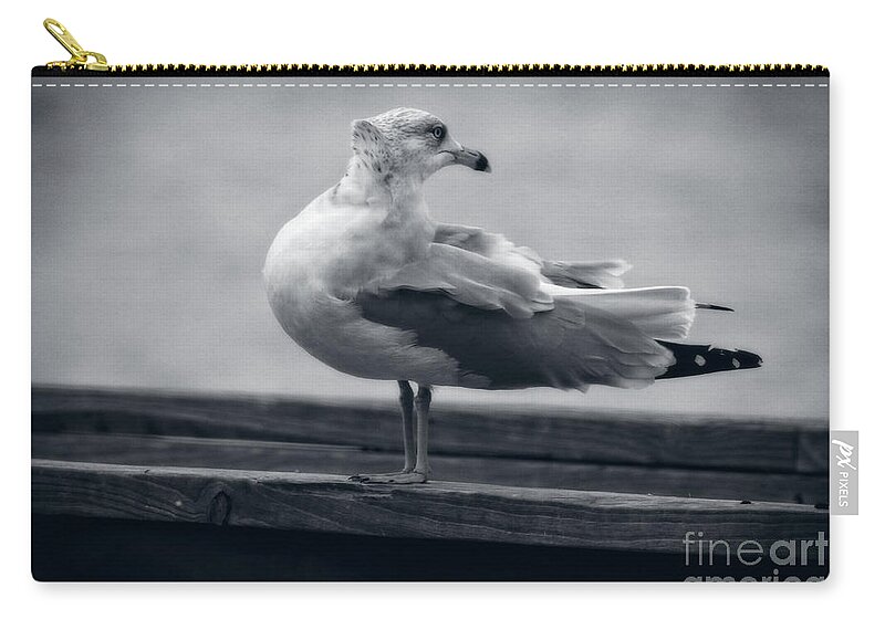 Birds Zip Pouch featuring the photograph Windy Day Seagull by Ella Kaye Dickey