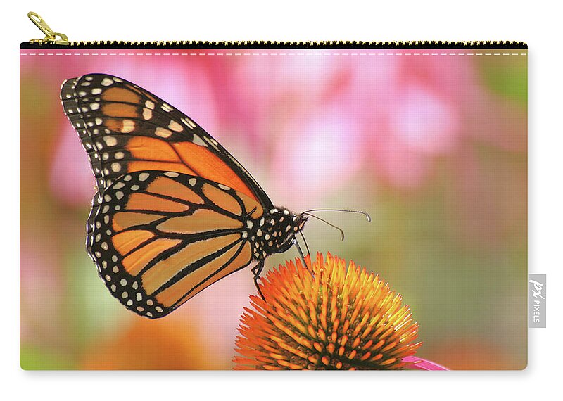 Butterfly Zip Pouch featuring the photograph Winged beauty by Doris Potter