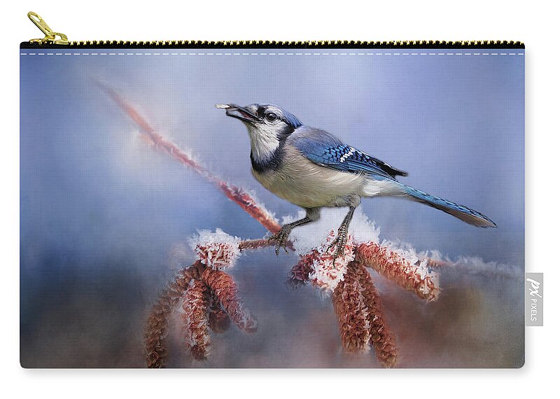 Blue Jay Zip Pouch featuring the photograph Winter Bluejay by TnBackroadsPhotos