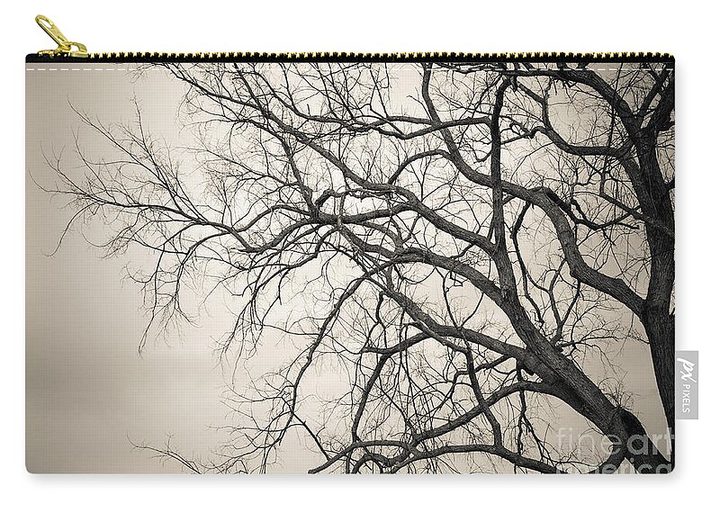 Tree Zip Pouch featuring the photograph Winter Branches by Ana V Ramirez