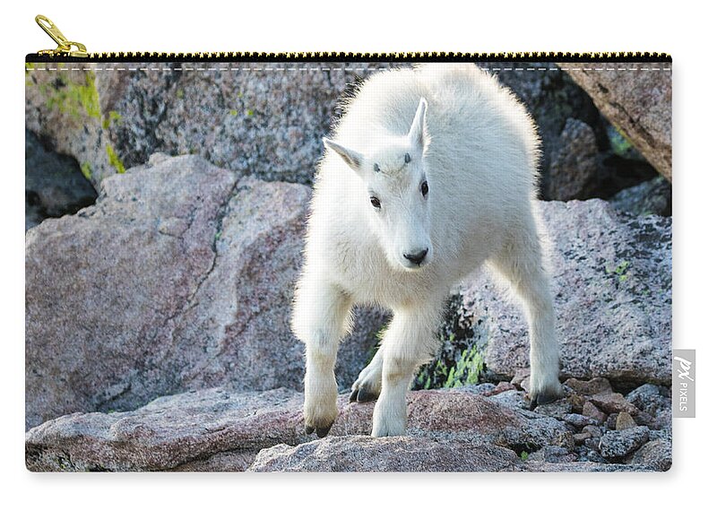 Mountain Goat Zip Pouch featuring the photograph Winter Coats #2 by Mindy Musick King