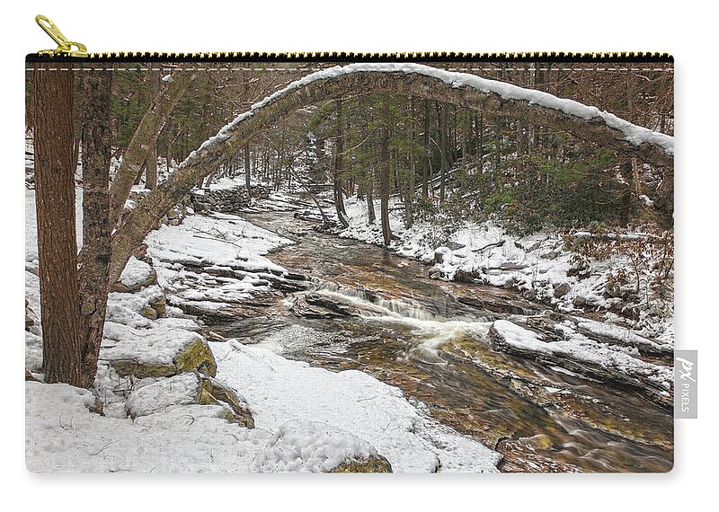 Winter Zip Pouch featuring the photograph Winter Forest Hydra by Angelo Marcialis