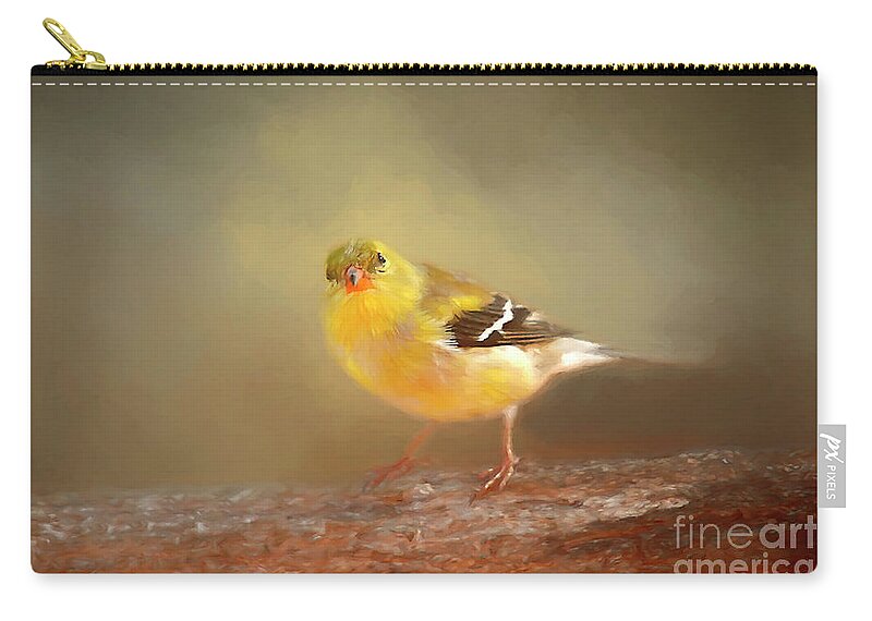 Winter Goldfinch Zip Pouch featuring the photograph Winter Goldfinch by Darren Fisher