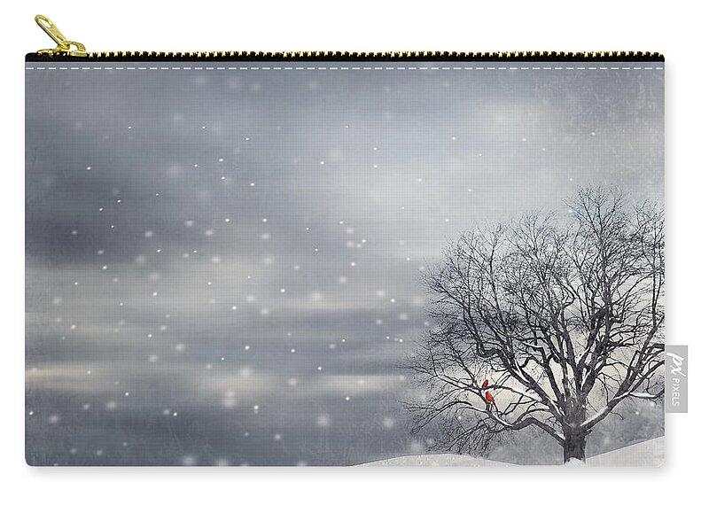 Four Seasons Zip Pouch featuring the photograph Winter by Lourry Legarde