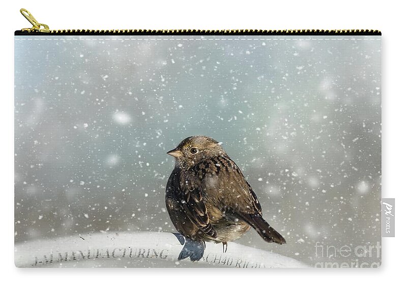 Golden-crowned Sparrow Zip Pouch featuring the photograph Winter Morning by Eva Lechner