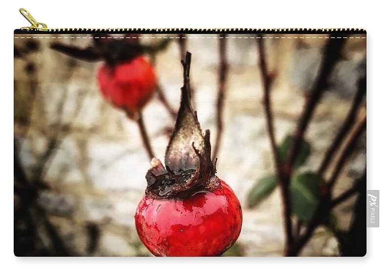 Rosehips Zip Pouch featuring the photograph Winter Rose Hips by Mark Egerton