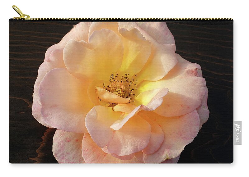 Winter Rose Zip Pouch featuring the photograph Winter Salmon Rose on Antique Wood by Kathy Anselmo