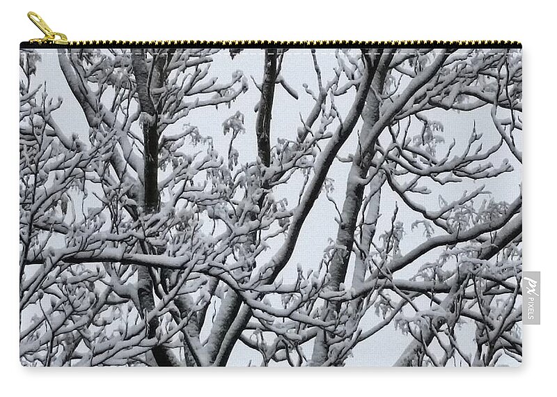 Ice Carry-all Pouch featuring the photograph Winter Sky through Snow Branches by Vic Ritchey