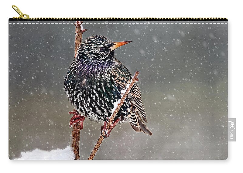 Starling Carry-all Pouch featuring the photograph Winter Starling 2 by Cathy Kovarik