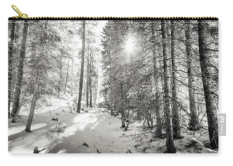 Backcountry Carry-all Pouch featuring the photograph Winter Sunshine Forest Shades Of Gray by James BO Insogna