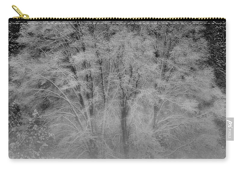 Tree Zip Pouch featuring the photograph Winter Tree in Yosemite Valley by Lawrence Knutsson