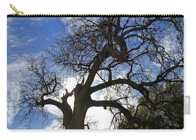 Tree Zip Pouch featuring the photograph Winter Tree by Shoal Hollingsworth