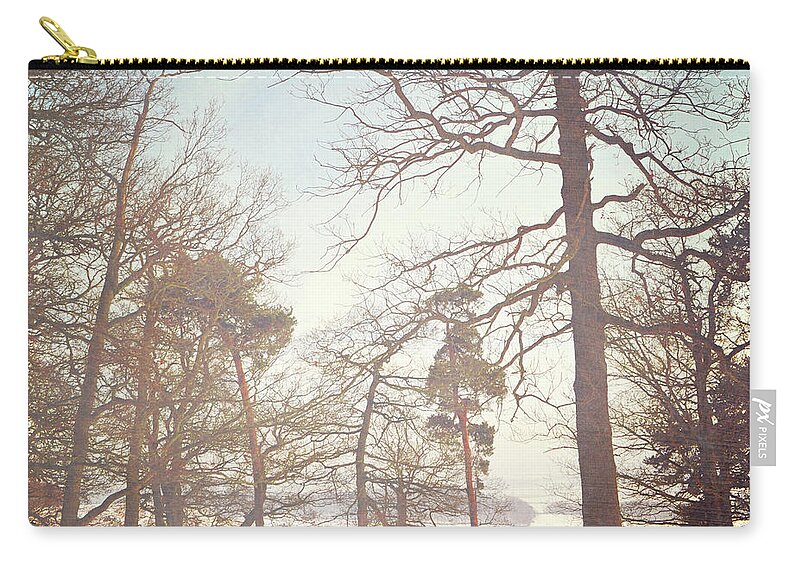 Trees Zip Pouch featuring the photograph Winter trees by Lyn Randle