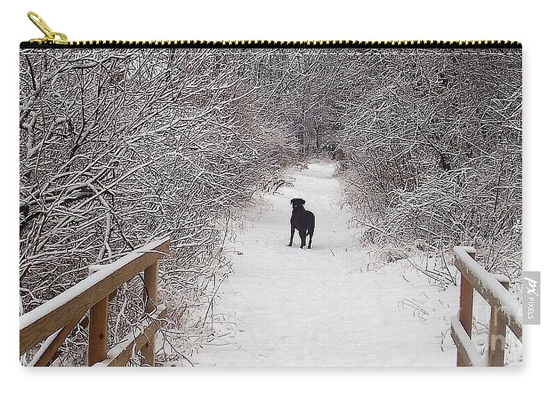 Winter Carry-all Pouch featuring the photograph Winter Walk by Deb Stroh-Larson