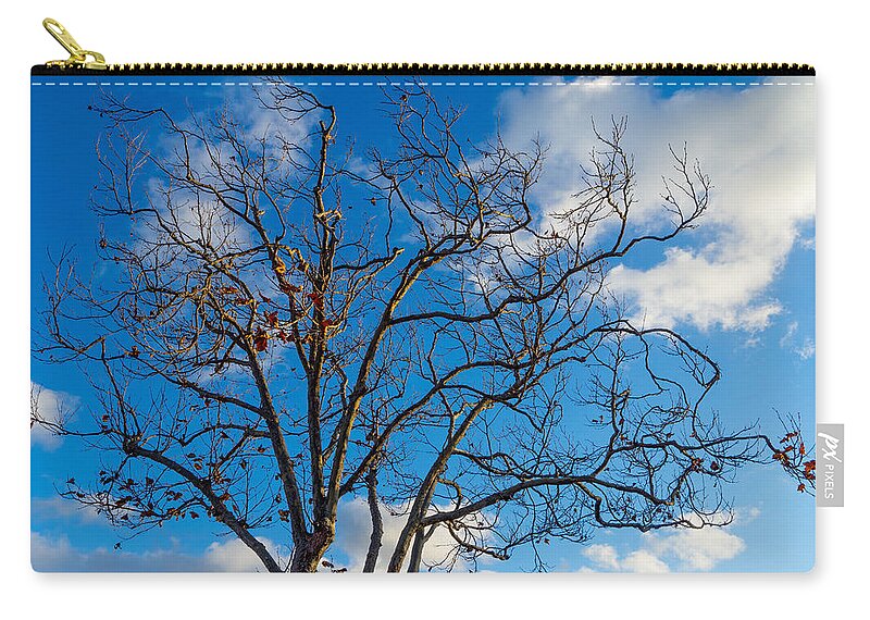 Tree Zip Pouch featuring the photograph Winter's Tree by Derek Dean