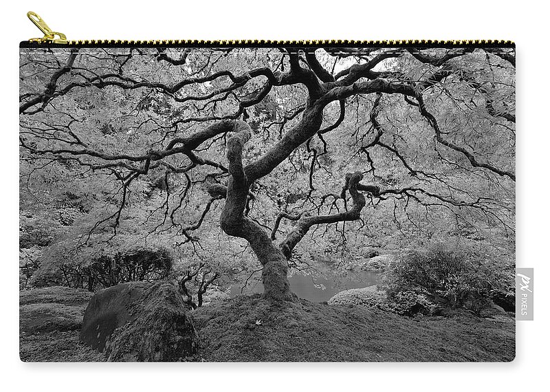 Black And White Zip Pouch featuring the photograph Wisdom BW by Jonathan Davison